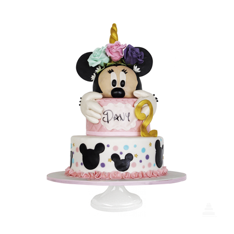 Minnie, pastel decorado de Mimi de Disney